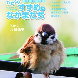 〈日めくりカレンダー〉ひめくりすずめとなかまたち